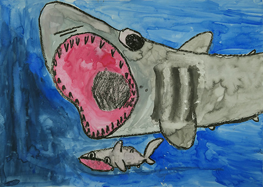 深海のサメ