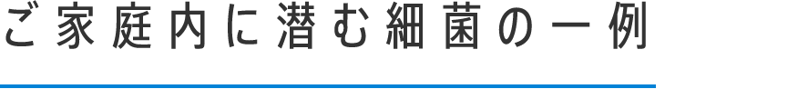 ご家庭内に潜む細菌の一例