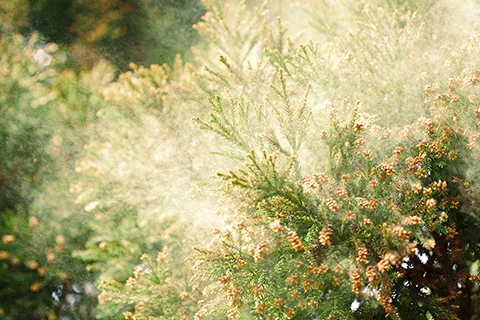 結露・シックハウス対策として必要な換気とは