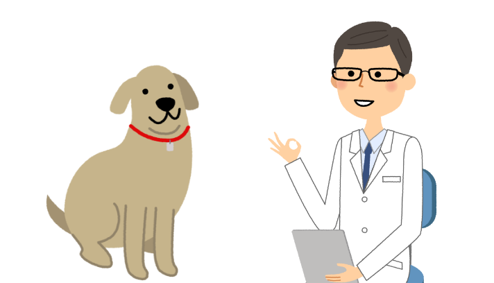 突然のケガや病気での通院・入院・手術を補償（補償内容はプランによって異なります）