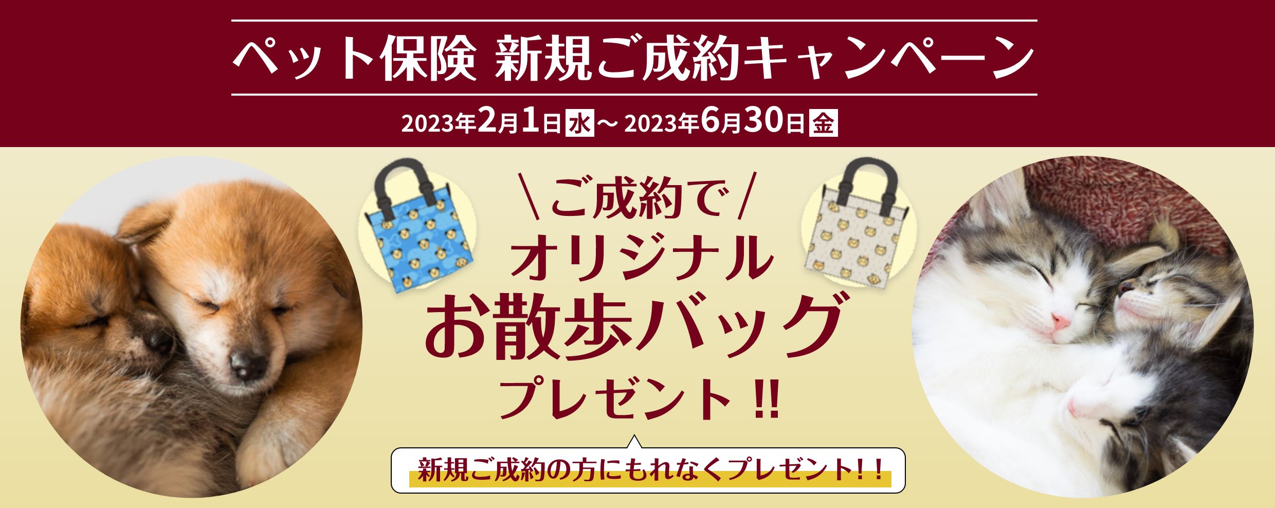 ペット保険新規ご成約キャンペーン