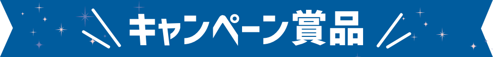 キャンペーンの流れ