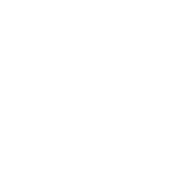 くるま・バイクの保険