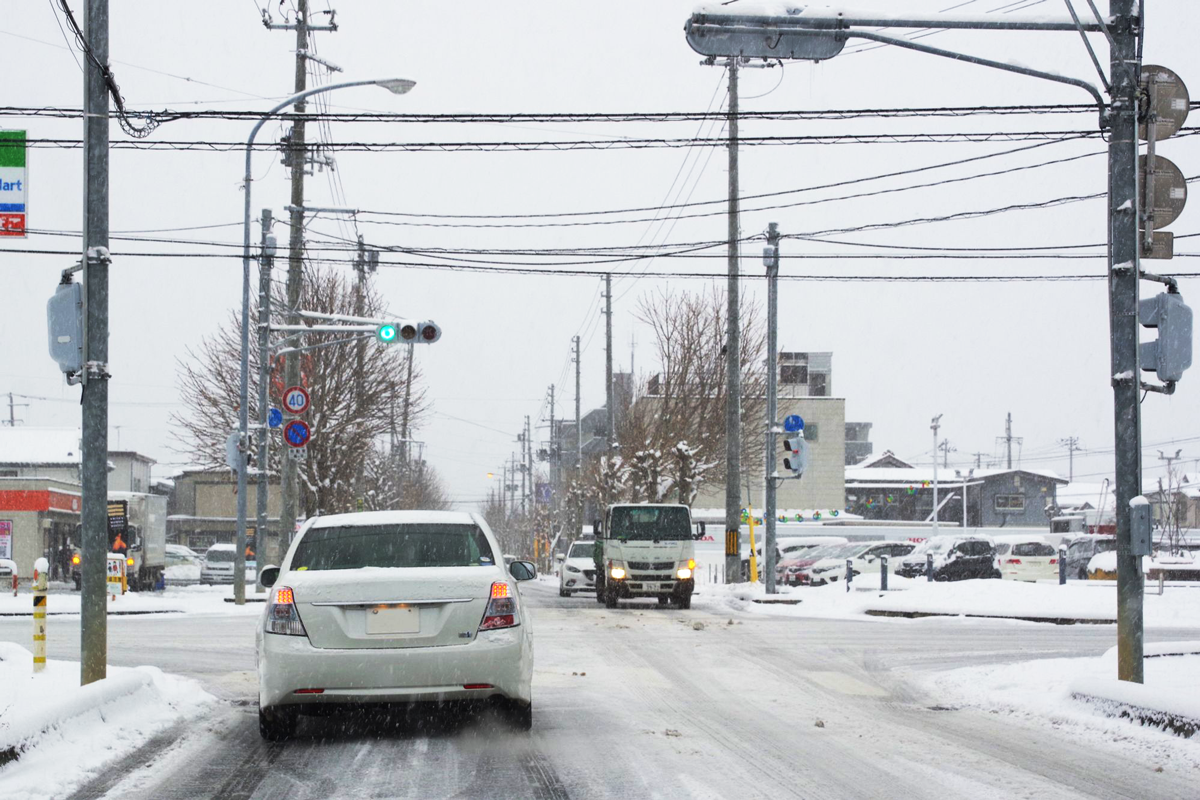 車の多い市街地も危険、特に交差点は要注意