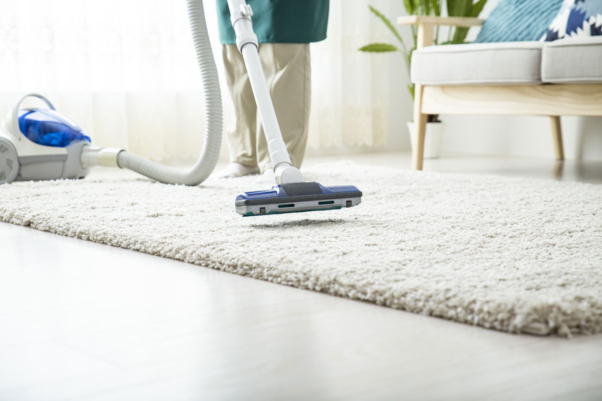 ダニやカビを含むハウスダスト