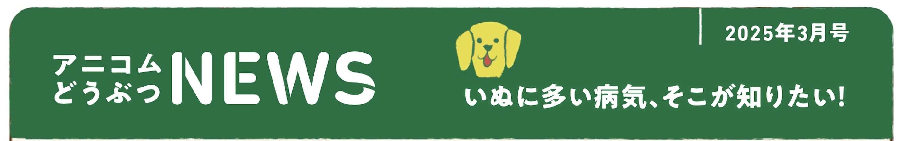 ペットの保険のコラム 骨折ってなに？