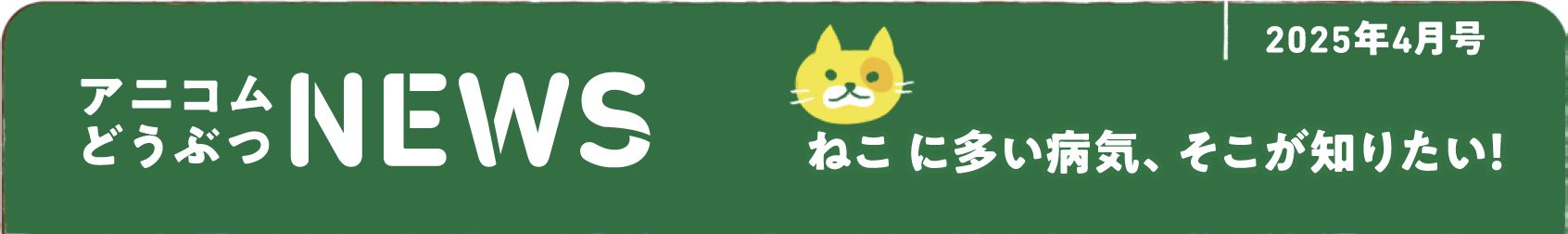 ペットの保険のコラム 心筋症って？