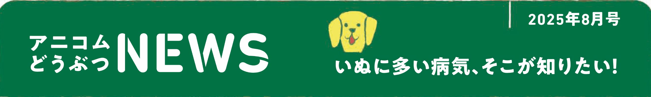 ペットの保険のコラム 僧帽弁閉鎖不全症ってなに？