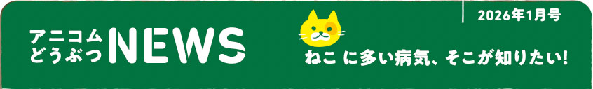 ペットの保険のコラム 膀胱炎ってなに？