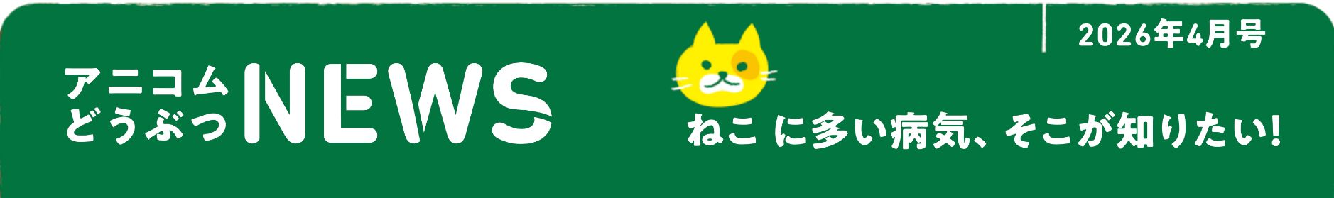 ペットの保険のコラム 結膜炎って？
