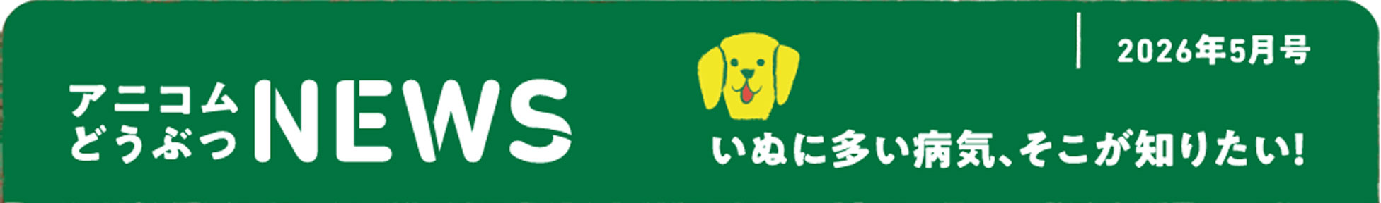 ペットの保険のコラム 膿皮症ってなに？