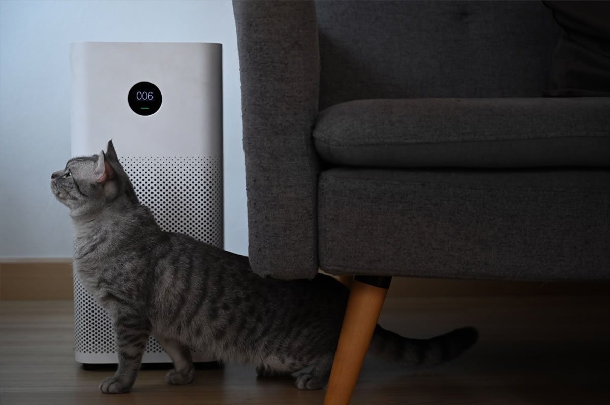 ペットの保険のコラム 猫喘息ってなに？