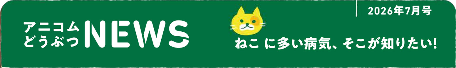 ペットの保険のコラム 猫喘息ってなに？