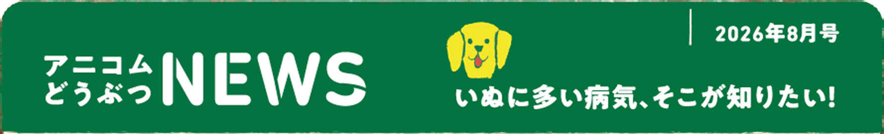 ペットの保険のコラム 糖尿病ってなに？