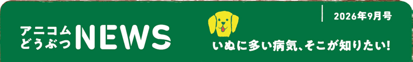 ペットの保険のコラム 分離不安ってなに？