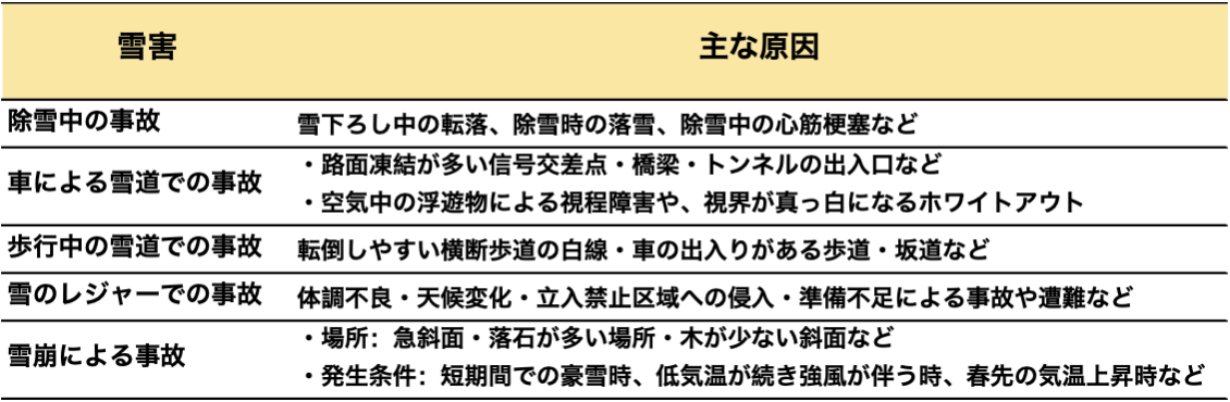 図表8：主な雪害とその原因