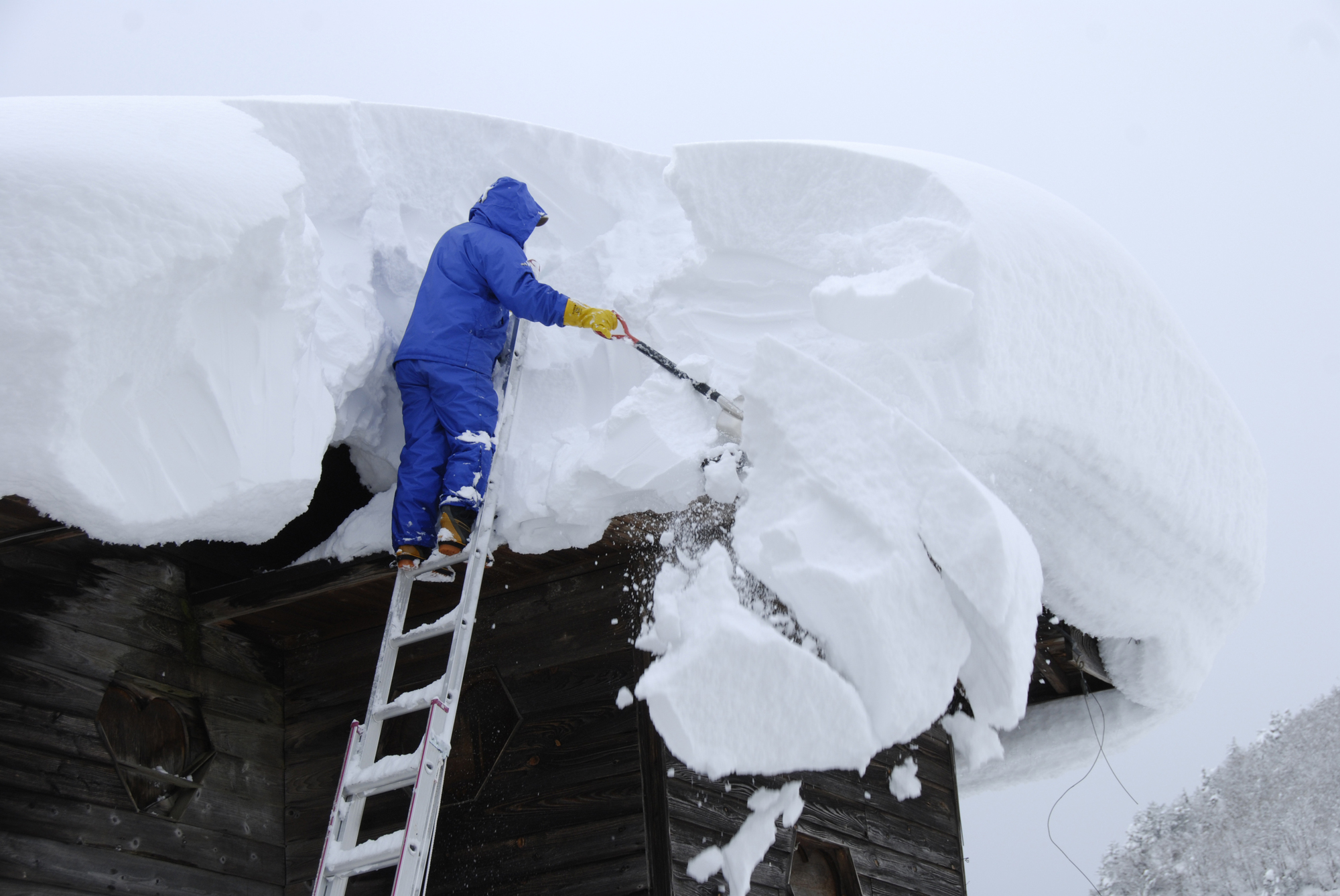 事故による犠牲者数が多い「除雪中の事故」