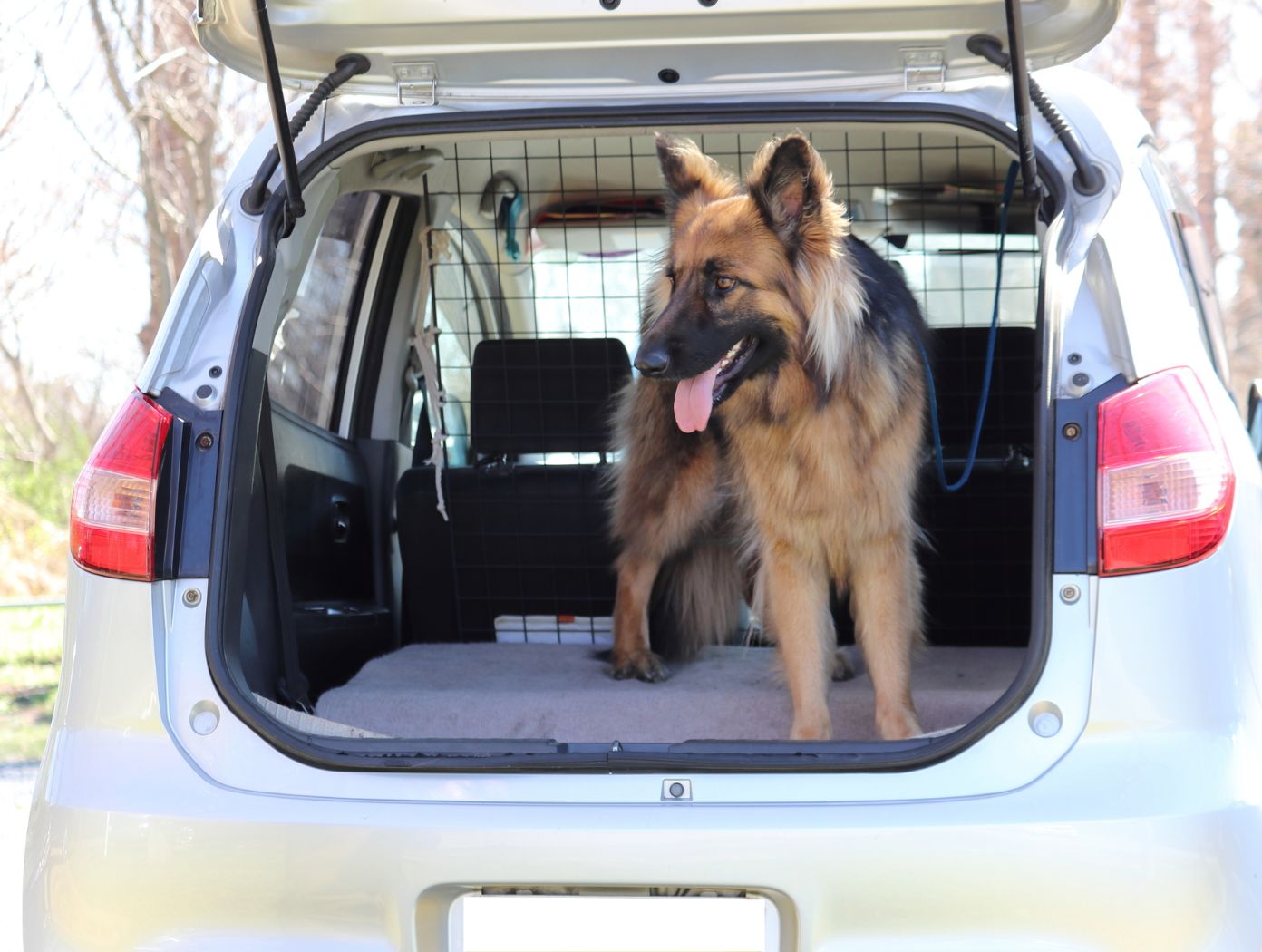 集団生活がしづらいケースでも対応できる