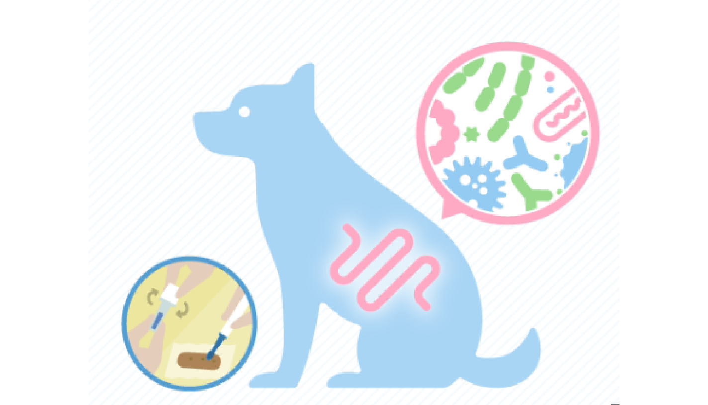 腸内フローラ測定で病気の早期発見を毎年サポート