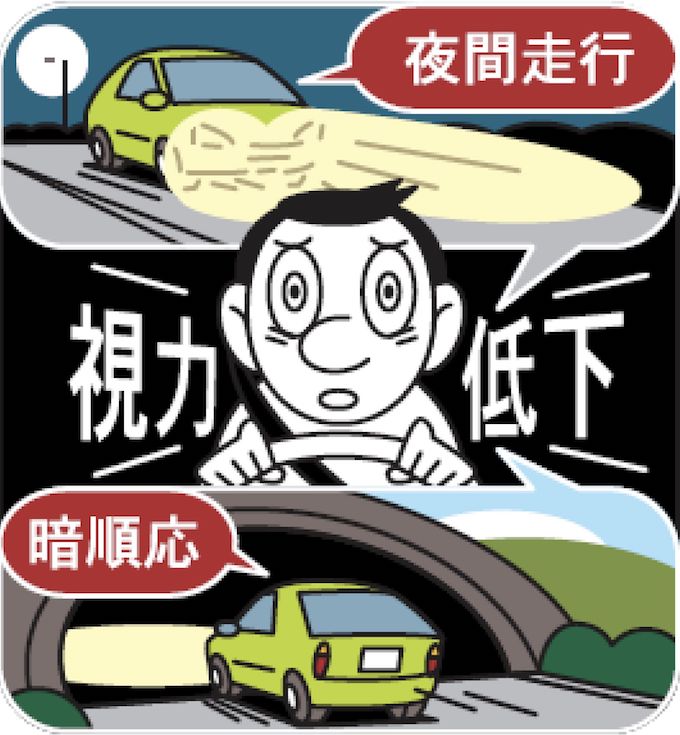 運転時は動体視力となる