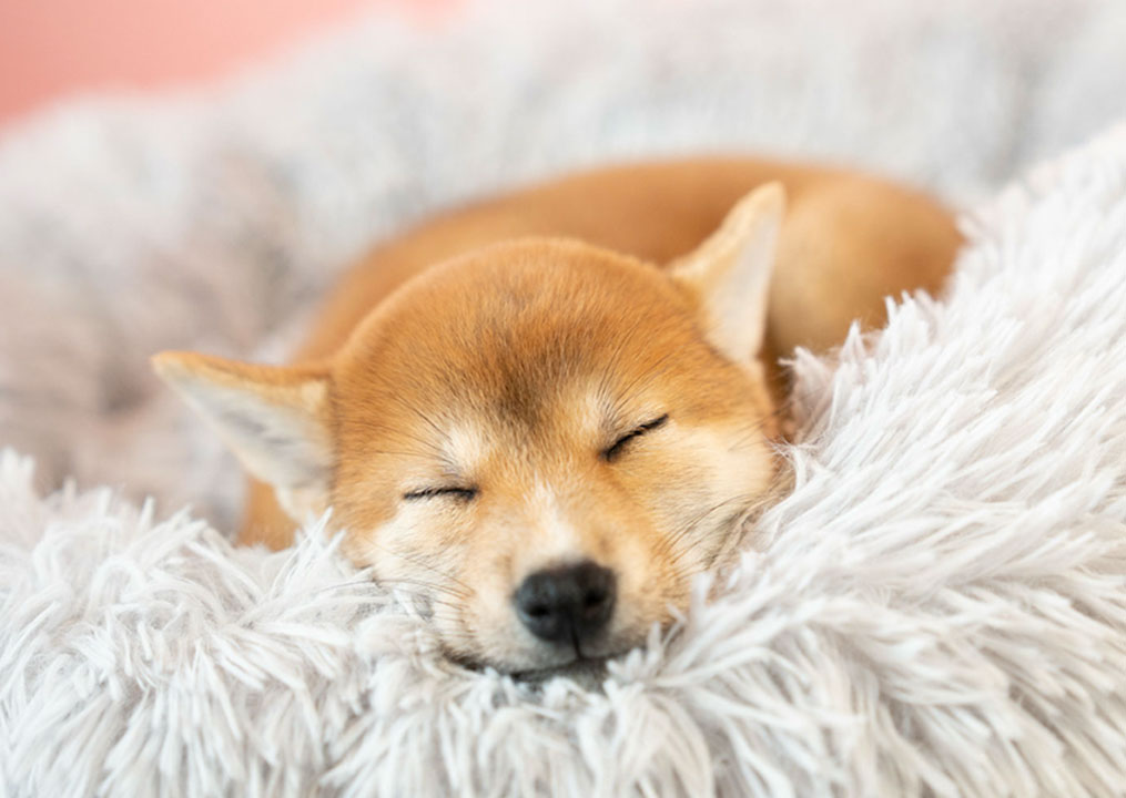 てんかんってなに？