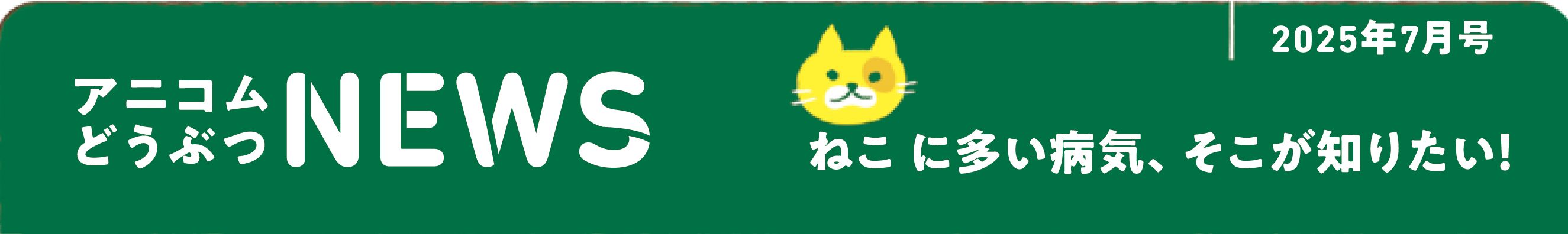 ペットの保険のコラム 外耳炎って？