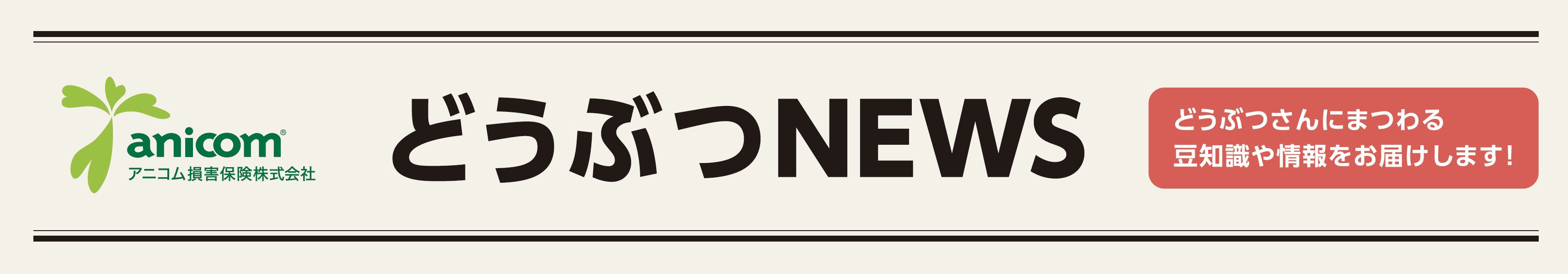 ペットの保険のコラム 【飼い主の皆さん気をつけて！】熱中症を予防しよう！