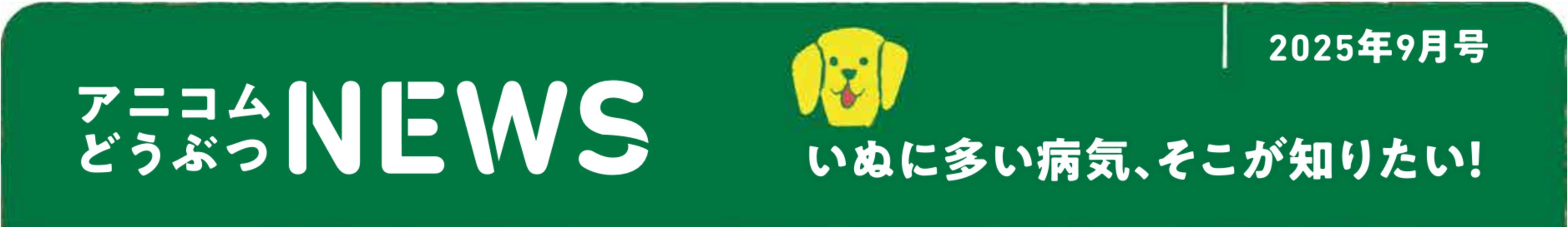 ペットの保険のコラム 膝蓋骨脱臼ってなに？