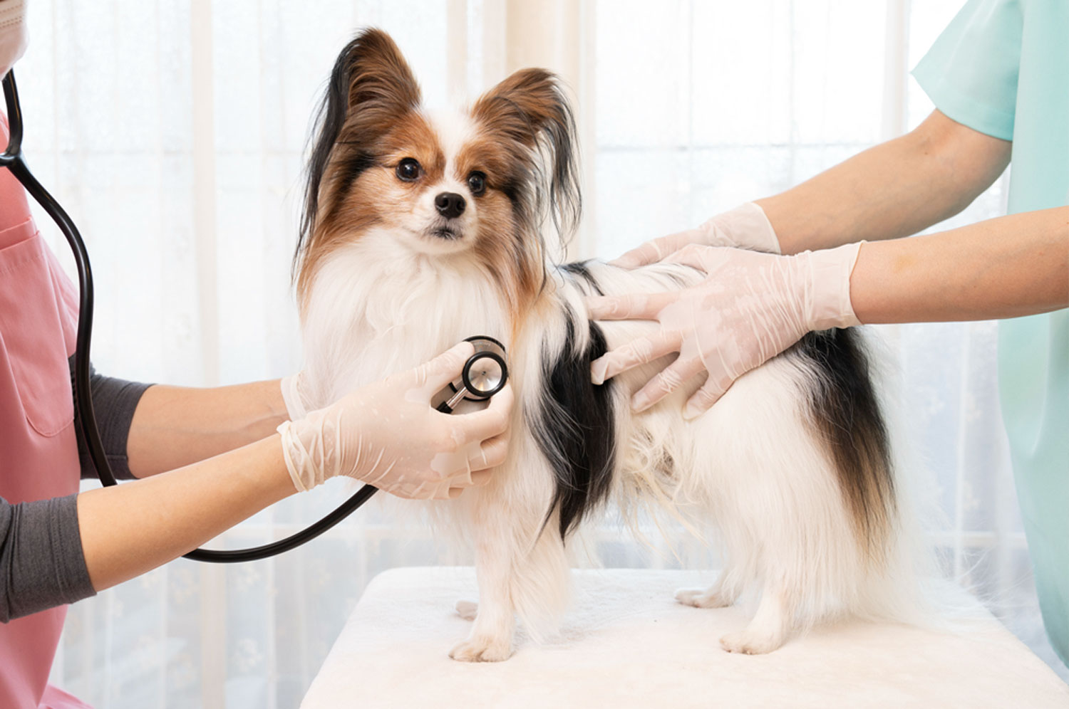 てんかんってなに？