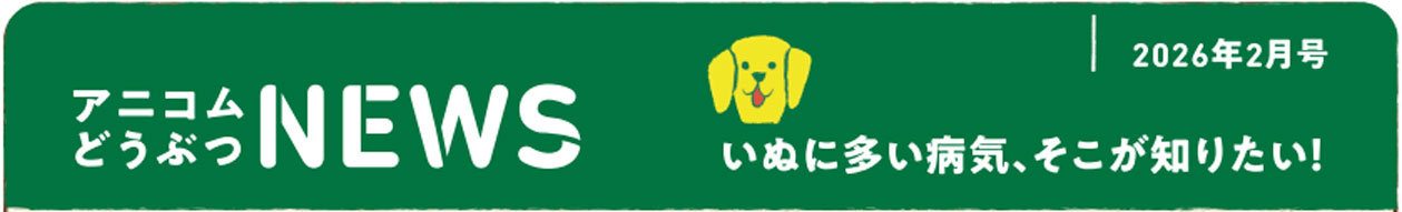 ペットの保険のコラム ケンネルコフってなに？