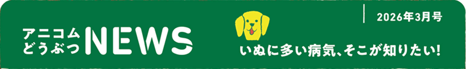 ペットの保険のコラム 前庭疾患ってなに？