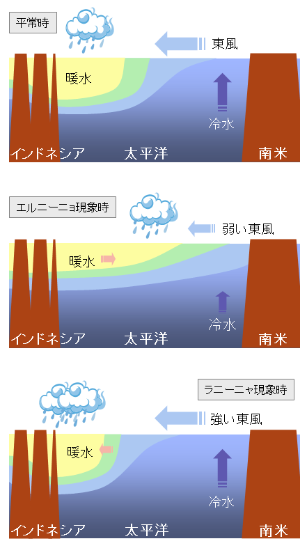図表1：エルニーニョ/ラニーニャ現象に伴う太平洋熱帯域の大気と海洋の変動