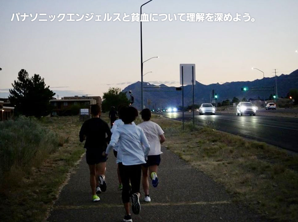 パナソニックエンジェルスと貧血について理解を深めよう。