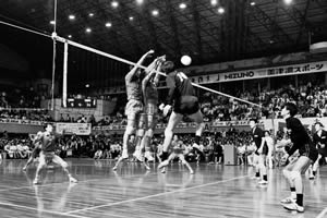 1973: Volleyball team