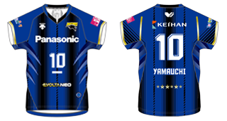 Panasonic PANTHERS