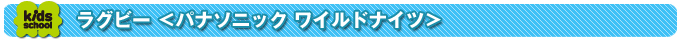 ラグビー ＜パナソニック ワイルドナイツ＞