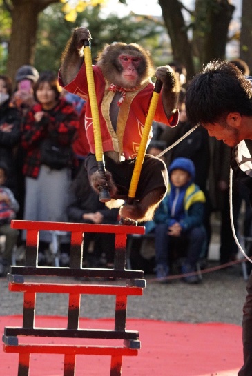 さる軍団のメンバーである「ともきりき」