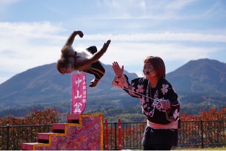 さる軍団のメンバーである「ゆりありく」