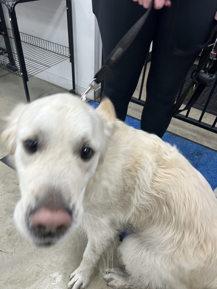 画像：勝手に見させてもらったフィン君