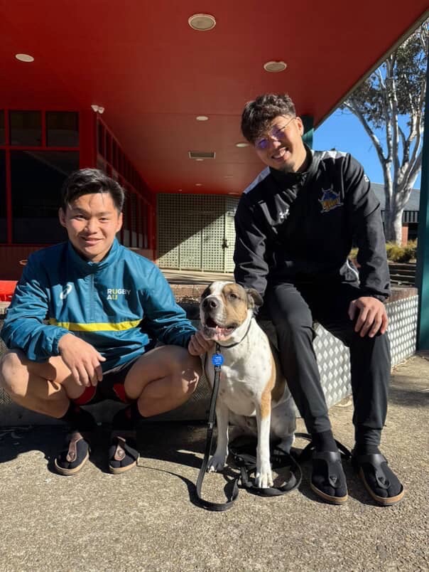 自主練についてきてくれたゼウス