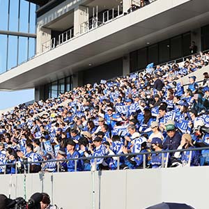 スタンドから声援を送る大観衆スタンドから声援を送る大観衆
